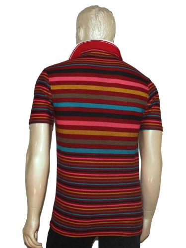 Multicolor Stripped Casual T-Shirt